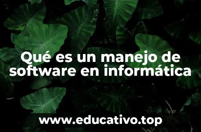 Qué es un manejo de software en informática