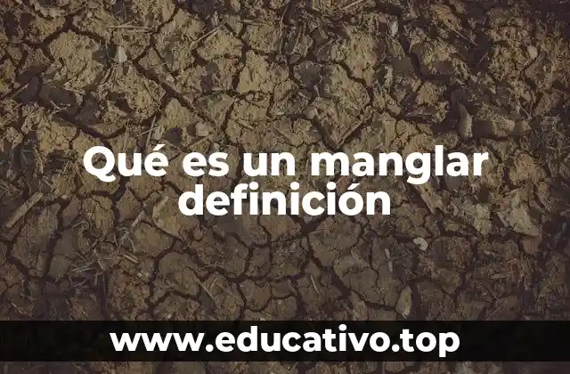 Qué es un manglar definición