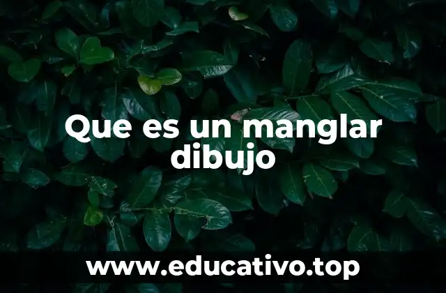 Que es un manglar dibujo