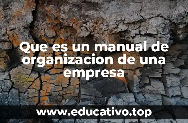 Que es un manual de organizacion de una empresa