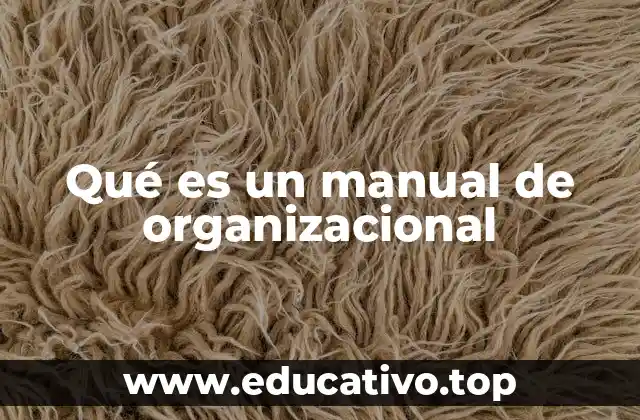 Qué es un manual de organizacional