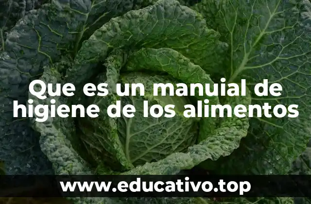 Que es un manuial de higiene de los alimentos