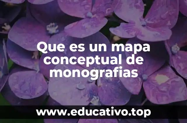 Que es un mapa conceptual de monografias