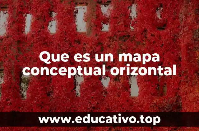 Características de los mapas conceptuales orizontales