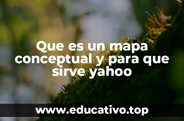 Cómo se relacionan los mapas conceptuales con las plataformas de búsqueda