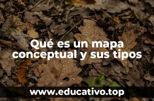 Qué es un mapa conceptual y sus tipos