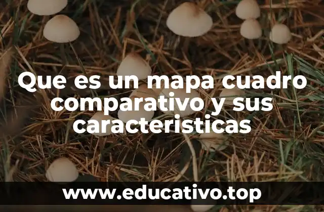 El poder de la organización visual en el aprendizaje