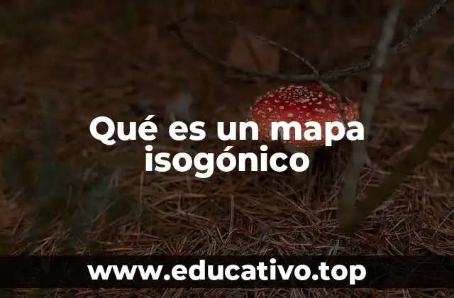 Qué es un mapa isogónico
