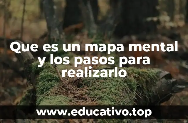 Que es un mapa mental y los pasos para realizarlo