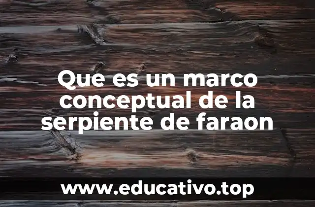 Que es un marco conceptual de la serpiente de faraon