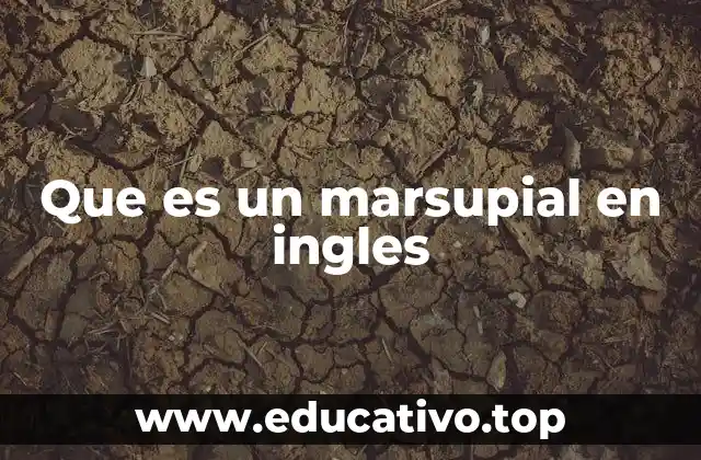 The Role of Marsupials in Ecosystems