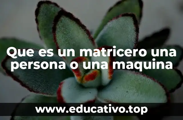 La importancia de las herramientas matriceras en la industria moderna