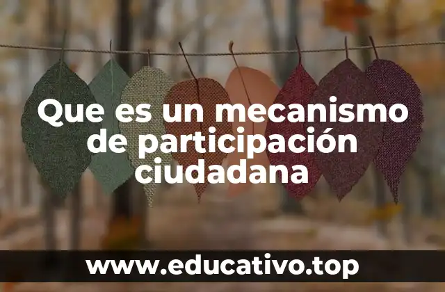 Que es un mecanismo de participación ciudadana