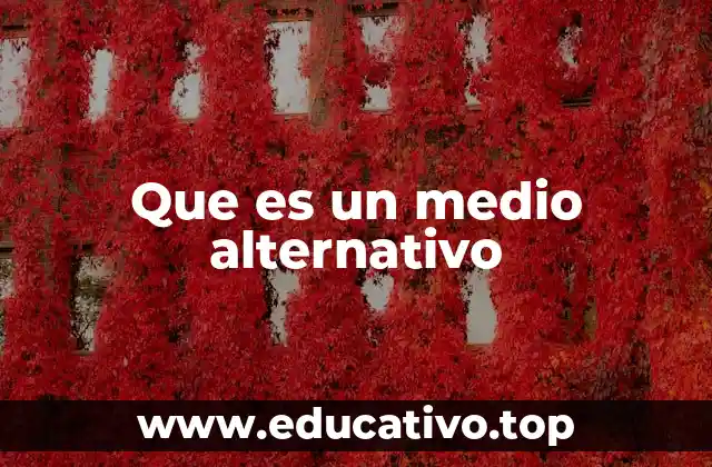 Que es un medio alternativo