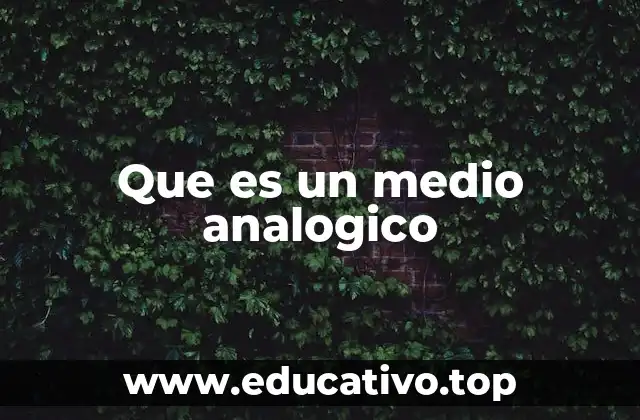 Que es un medio analogico