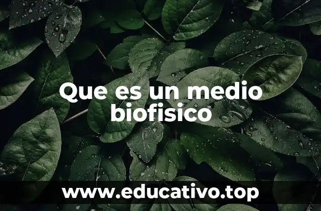 Que es un medio biofisico