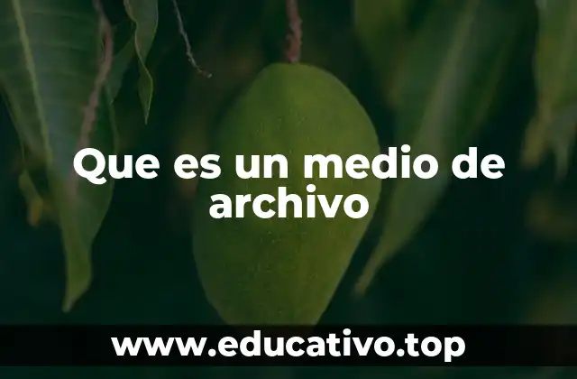 La importancia de los medios de archivo en la gestión de información