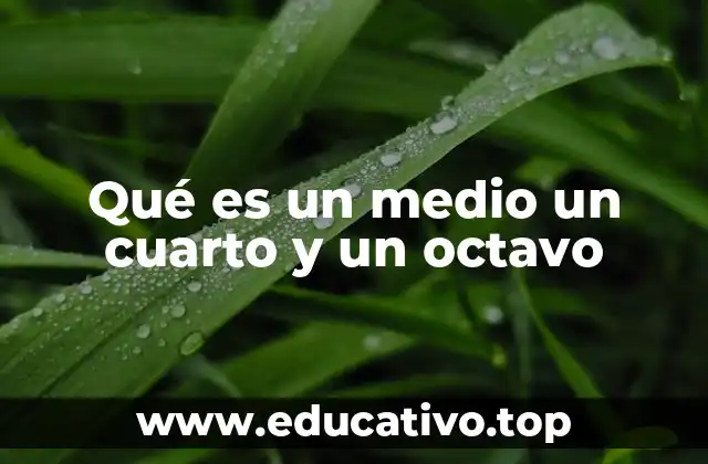 La importancia de las fracciones en la vida cotidiana