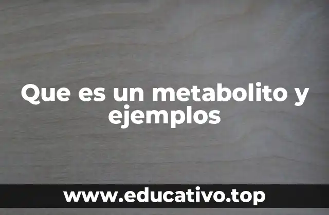 El papel de los metabolitos en los procesos biológicos