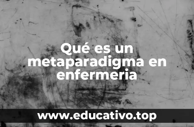 Qué es un metaparadigma en enfermeria