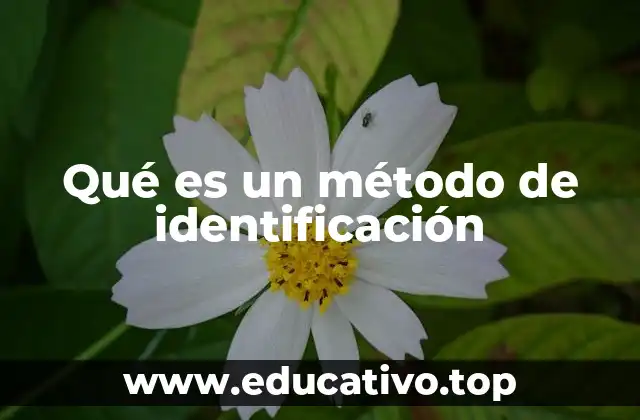 Qué es un método de identificación