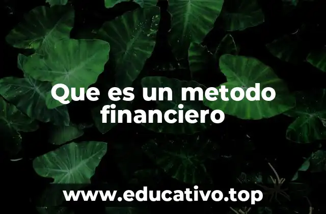 Que es un metodo financiero