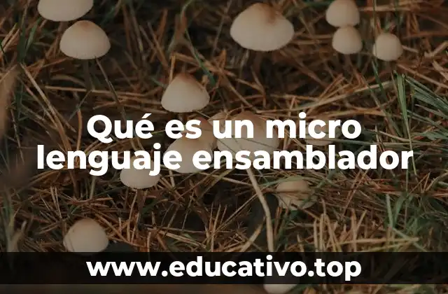 Qué es un micro lenguaje ensamblador