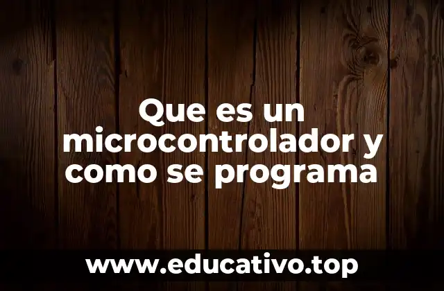 Que es un microcontrolador y como se programa