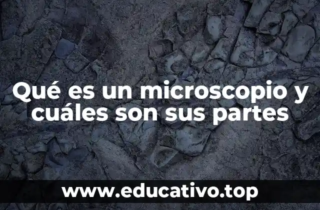 Qué es un microscopio y cuáles son sus partes