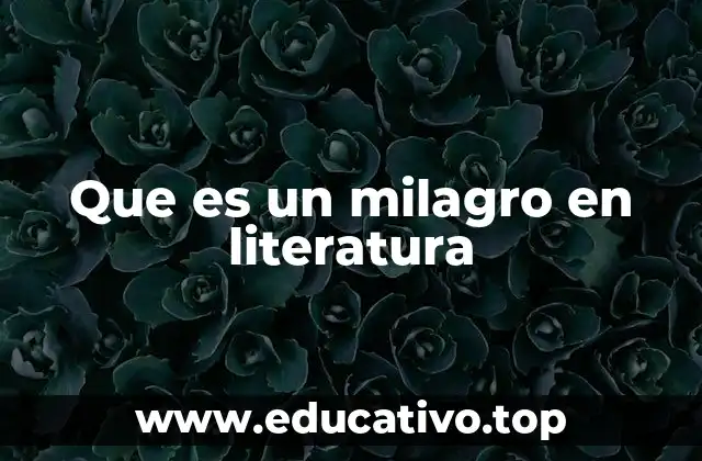 Que es un milagro en literatura