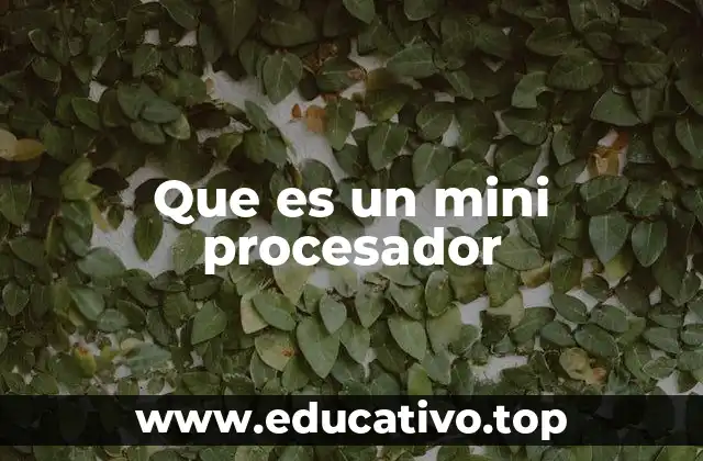 Que es un mini procesador