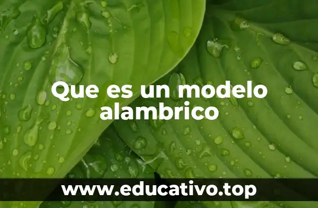 Que es un modelo alambrico