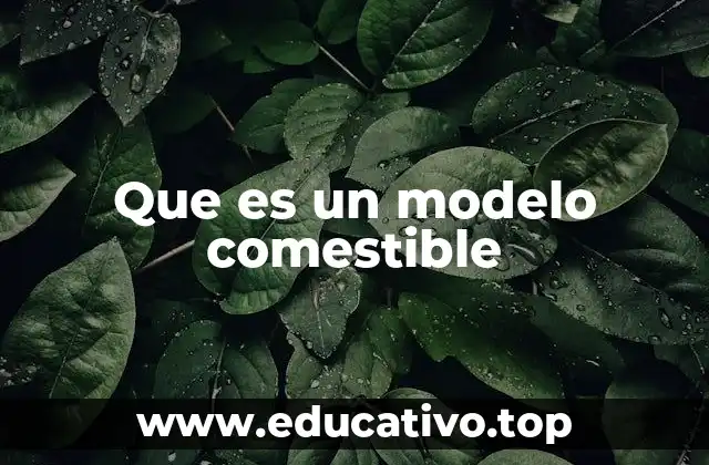 Que es un modelo comestible
