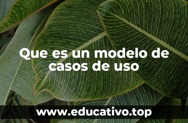 Que es un modelo de casos de uso