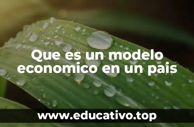 Que es un modelo economico en un pais