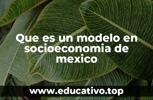 Que es un modelo en socioeconomia de mexico