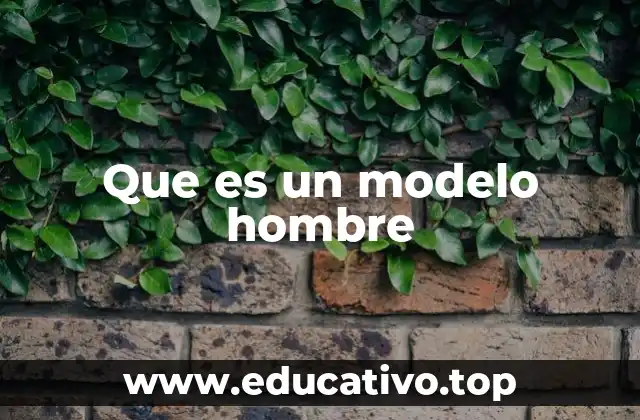 Que es un modelo hombre