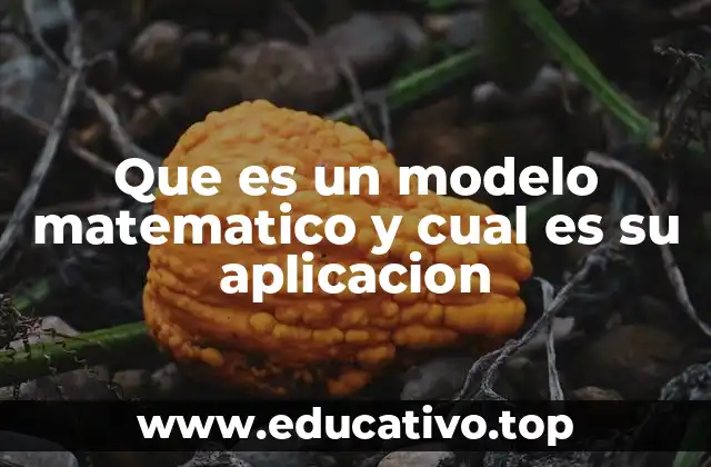 Que es un modelo matematico y cual es su aplicacion