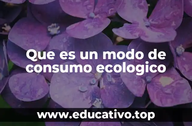 Que es un modo de consumo ecologico