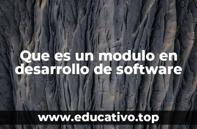 Que es un modulo en desarrollo de software