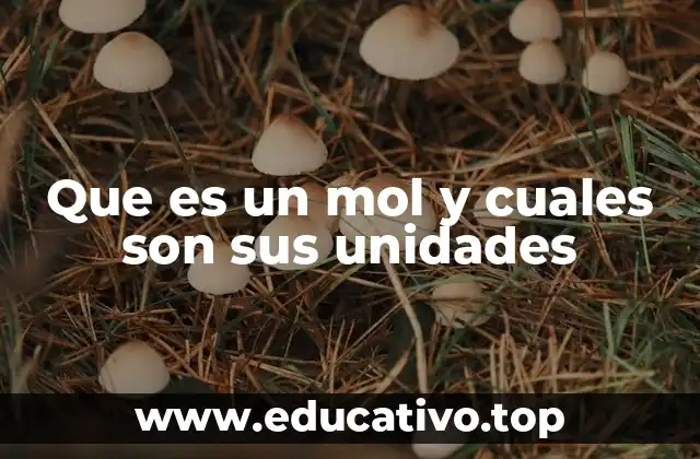 Que es un mol y cuales son sus unidades