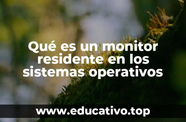 Qué es un monitor residente en los sistemas operativos