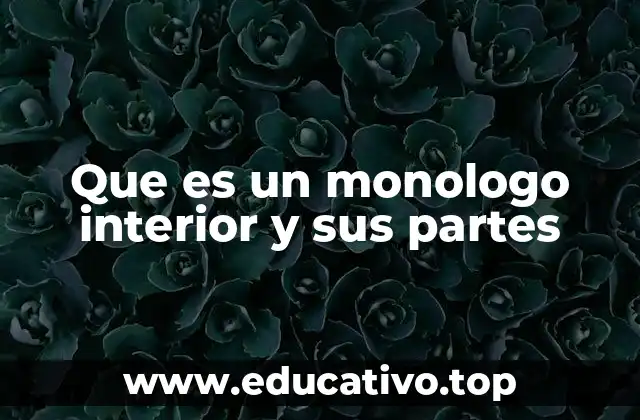 Que es un monologo interior y sus partes