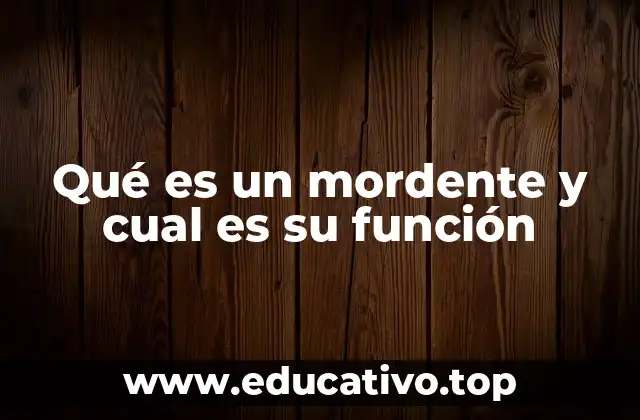 Qué es un mordente y cual es su función