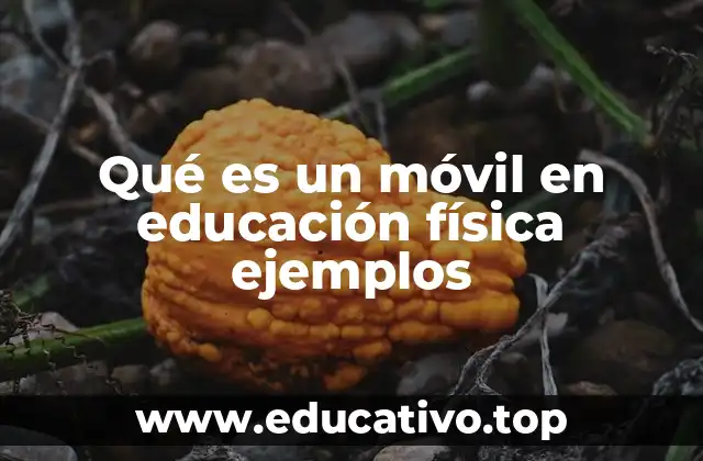 Qué es un móvil en educación física ejemplos