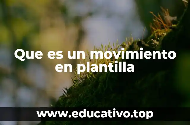Que es un movimiento en plantilla