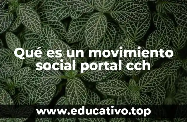 Qué es un movimiento social portal cch