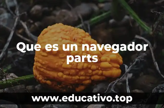Que es un navegador parts
