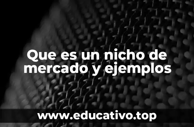 Que es un nicho de mercado y ejemplos
