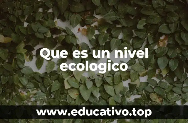 Que es un nivel ecologico